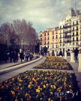 MADRID (7)